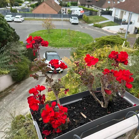 Grain De Sel Étaples